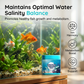 ⏳Limited-time 49% off⏰dHigh-Efficiency Aquarium Water Purification Tablets🐟
