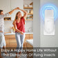 🎁LAST DAY SALE 49% OFF🔥Plug-in Fly Insect Trap