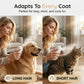 🎁LAST DAY SALE 49% OFF🔥3-in-1 Pet Spray Massage Brush